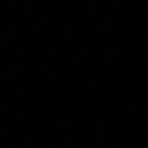 Meet your Posher, Ally